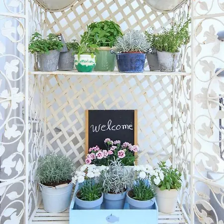 Tatil Evi Agora *